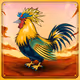 Chicken #523