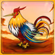 Chicken #2156