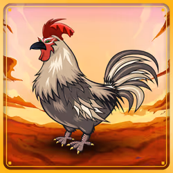 Chicken #2152