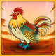 Chicken #981