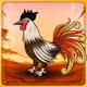Chicken #204