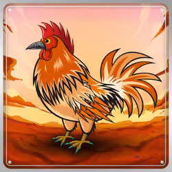 Chicken #218