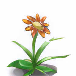 Fancy Flower