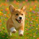 DOGS