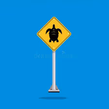 Turtle road