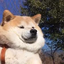 DOOG