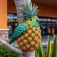 Ananasx0