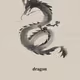 dragon333