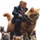 trumpcat