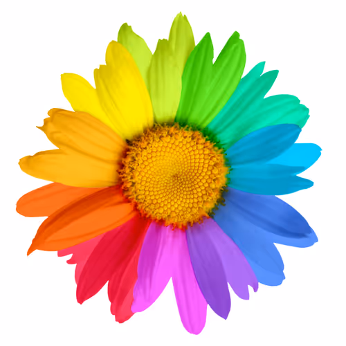 rainbow flower