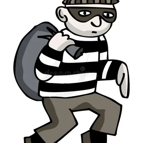 Roninrob