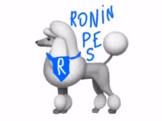 Ronin Pes