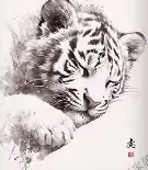 Cute tiger