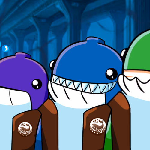 Sei Whale Banner  33