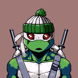 Sensei Turtle #1733