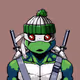 Sensei Turtle #1733