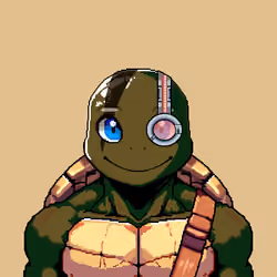 Sensei Turtle #1101