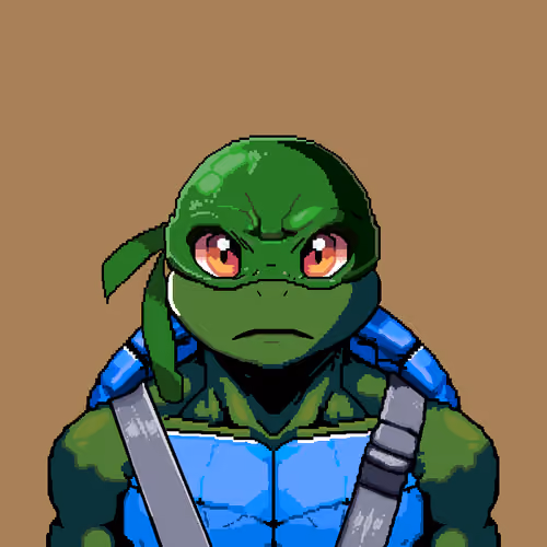 Sensei Turtle #336