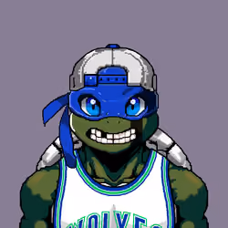 Sensei Turtle #1269