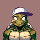 Sensei Turtle #876
