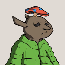 2416