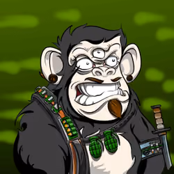 Your Collection of SEI Minties #894