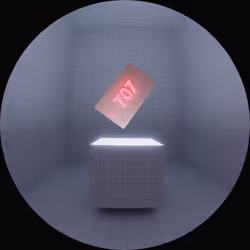 The VIPrivacy Key #10