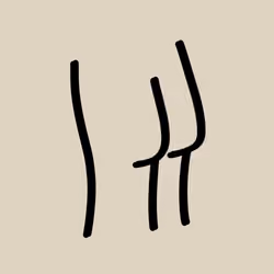 691