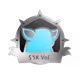 0xe8ffa5cd1845513083655d29604c5cd2bda1327c