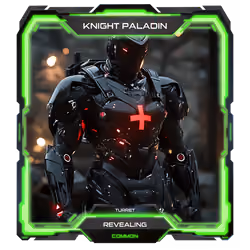 Knight Paladin #1817