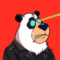Sei Bears #7753