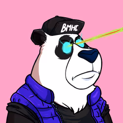 Sei Bears #3672