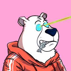 Sei Bears #7324