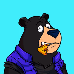 Sei Bears #3576