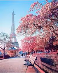 gogogogogogogogogogogo