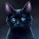 Black Cat