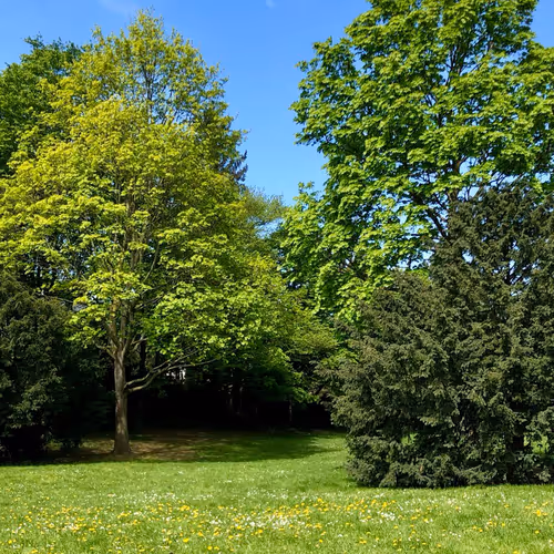 Spring