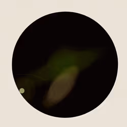 301