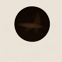 SYSTEMS #191