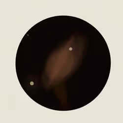 55