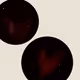 78