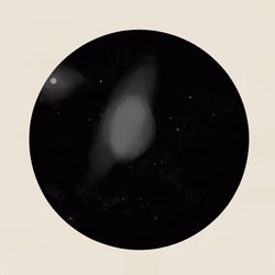 54