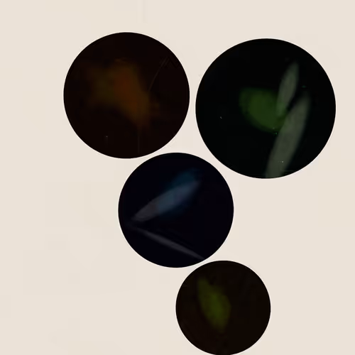 100