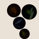 100