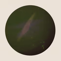 303