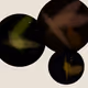 101