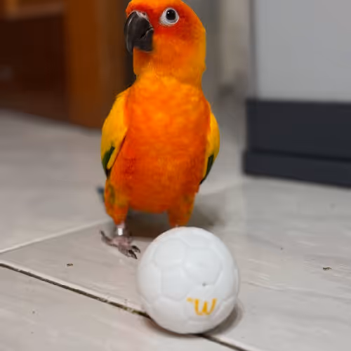 Your owner of your crypto asset