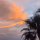 sunset.jpeg