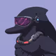 Weird Dolphin