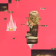 COLLAGE_ON_SHAPE